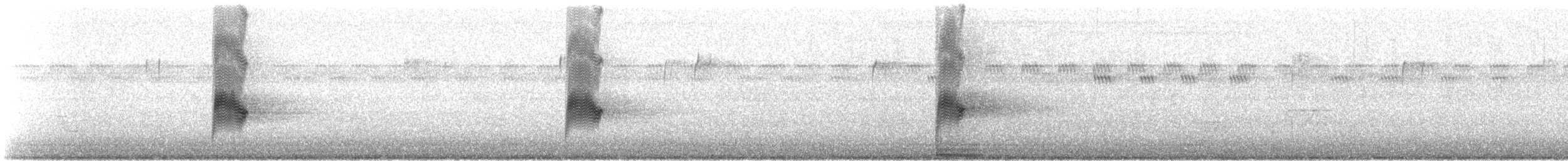 Common Nighthawk - ML240824961