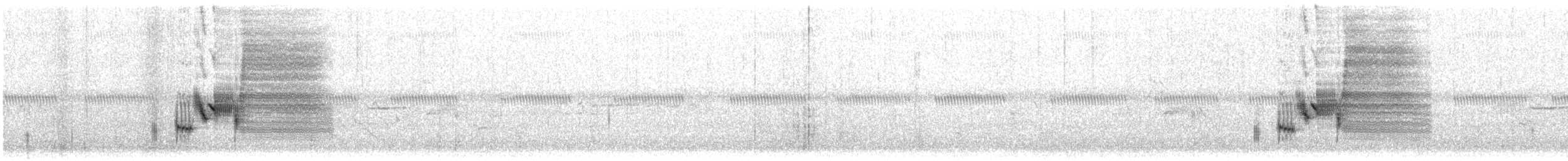 Seaside Sparrow - ML240825411