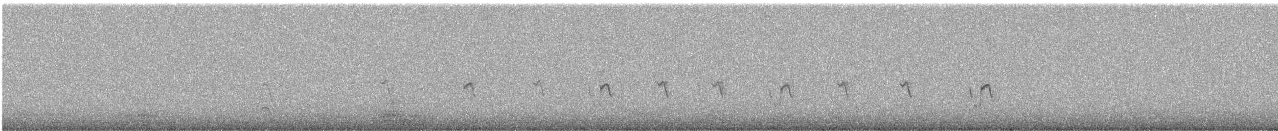 Вівсянчик сіроголовий - ML240844