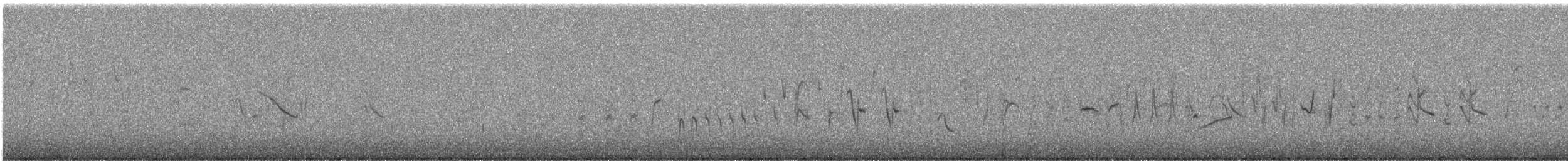 Schwarzzeisig - ML240853