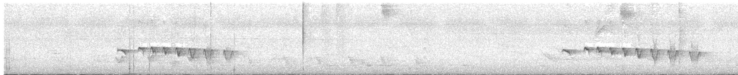 Zimtbauch-Ameisenfänger - ML240858921