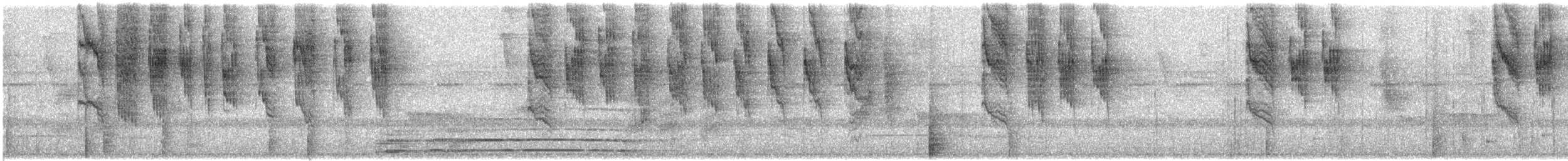 White-shouldered Tanager - ML240879691