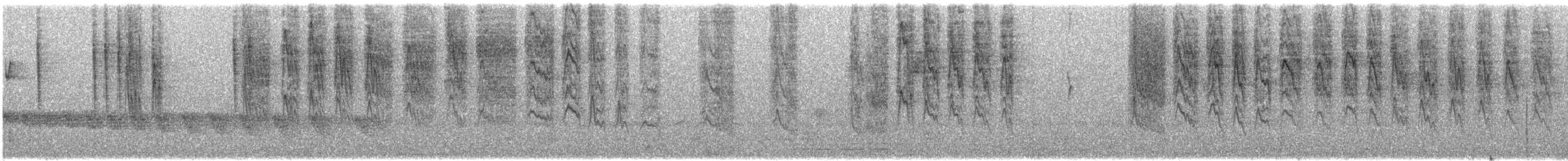 White-eared Conebill - ML240882491