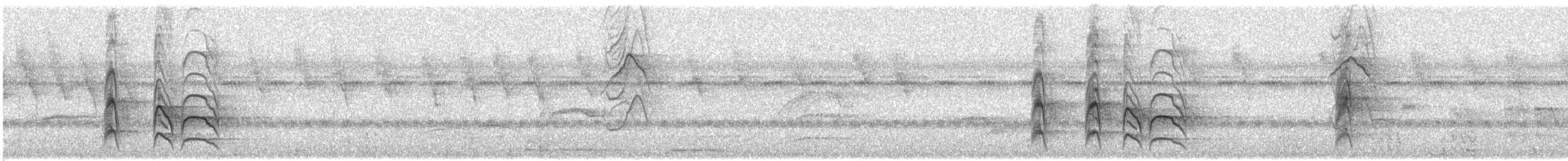 Great Kiskadee - ML240883161