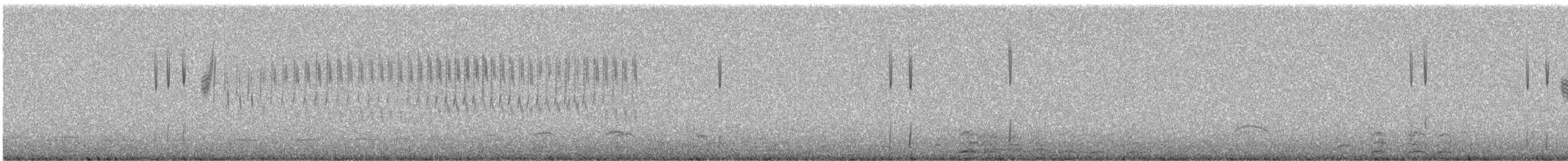 solbukspurv (luteola gr.) - ML240897