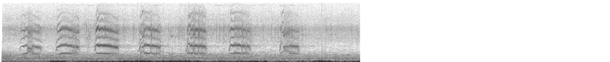 Lewis's Woodpecker - ML240913321