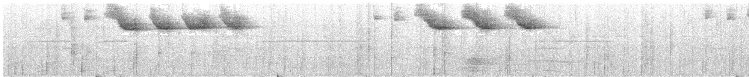 Pectoral Sparrow - ML240919531