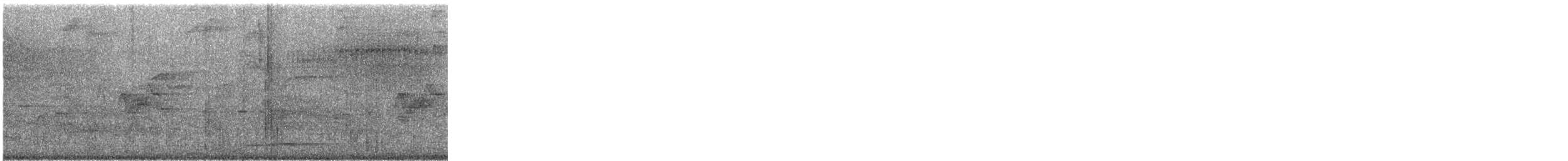 Thicket Tinamou - ML240922681