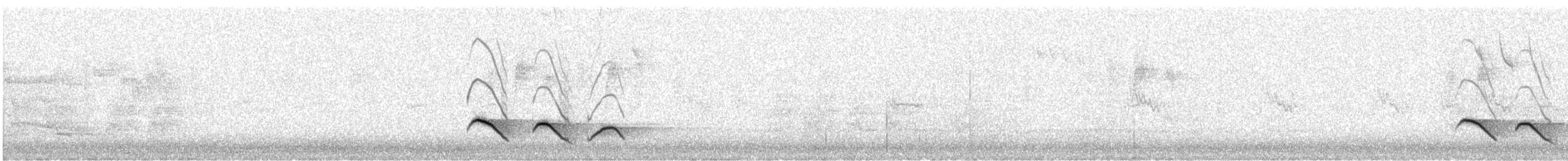 Тасманийская дриада - ML240924721
