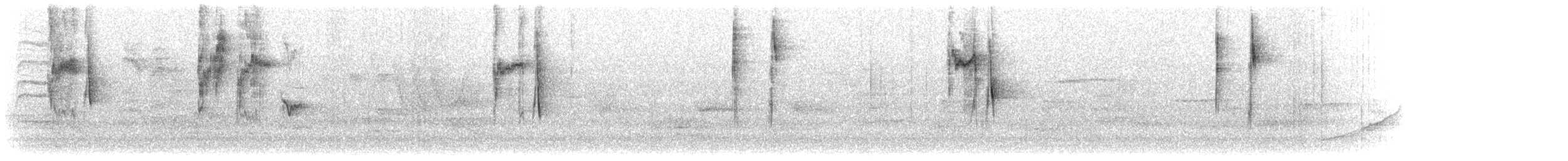 ブユムシクイ - ML240926741