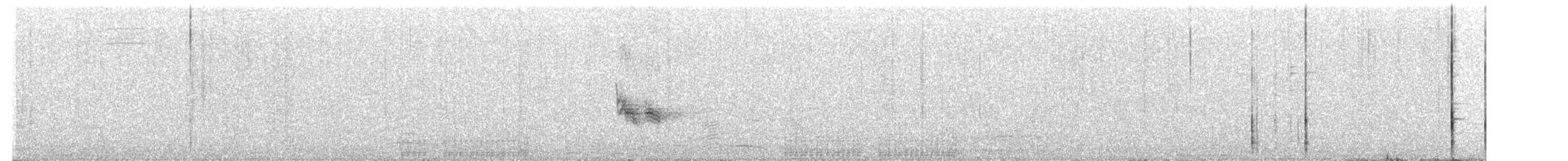 Paruline à calotte grise - ML240930511