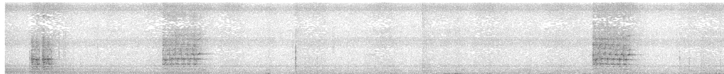 Chara de Beechey - ML240932231