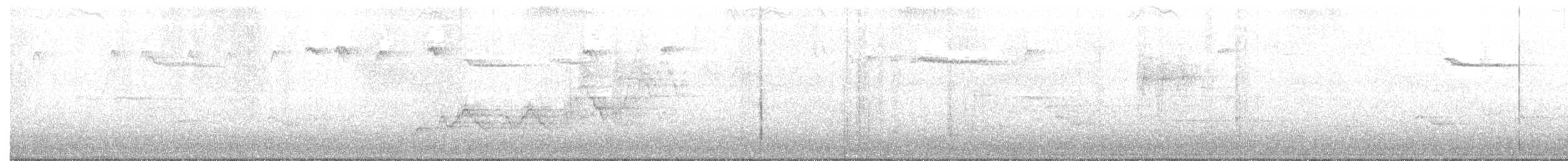 Дрізд-короткодзьоб Cвенсона - ML240942351