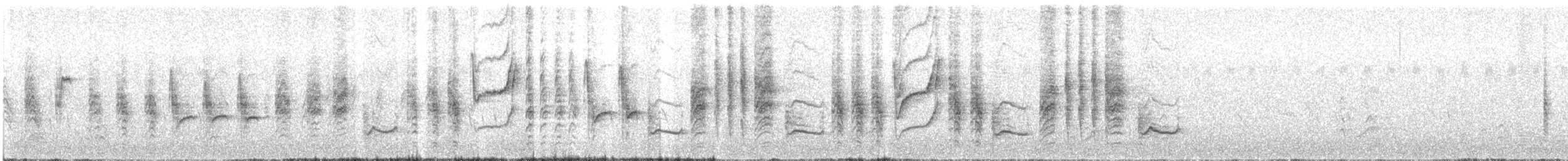 Western Olivaceous Warbler - ML240951611