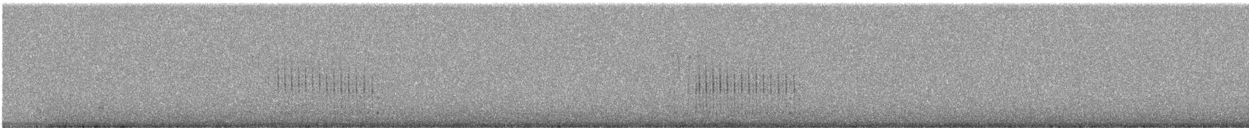 Géositte grise - ML240958