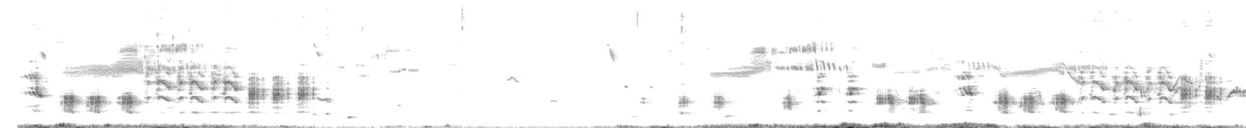 Great Reed Warbler - ML240958661