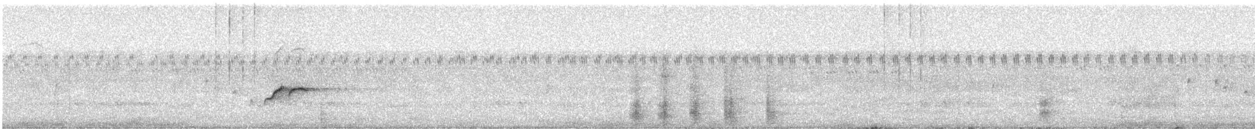 Stutzschnabel - ML240960651
