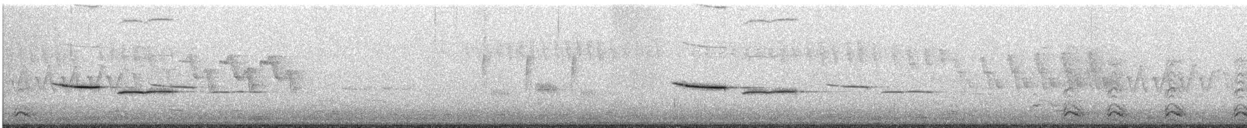 Black-capped Chickadee - ML240964891