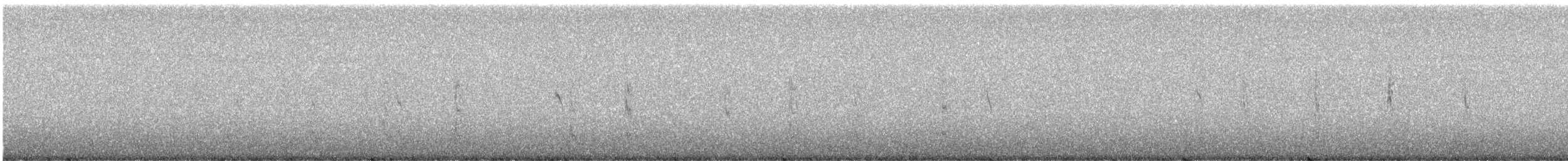 Géositte grise - ML240966