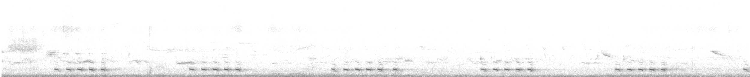 Black-billed Cuckoo - ML240975821