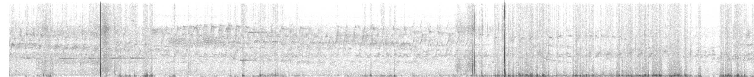 rorýs bělohrdlý - ML240981781