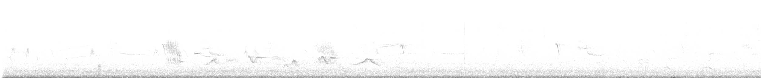Black Phoebe - ML240983771