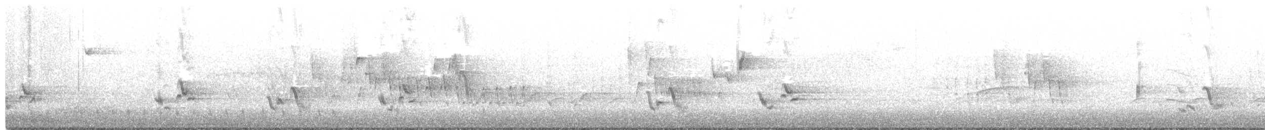 Gri Kedikuşu - ML240995731