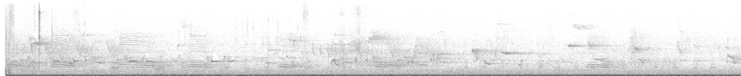 Amerika Kargası - ML240995981