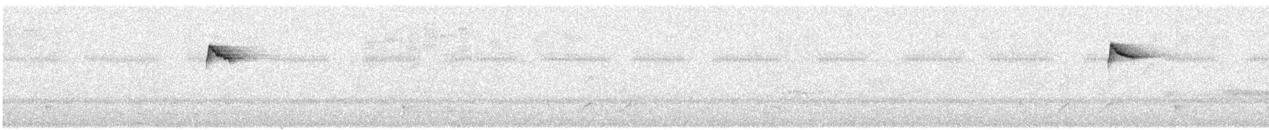 Светлобрюхий колибри-отшельник - ML241004041