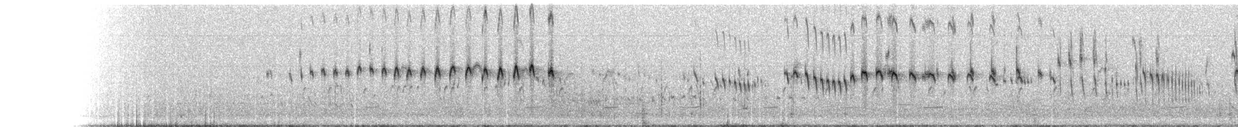 ニシヒメアマツバメ - ML241054381
