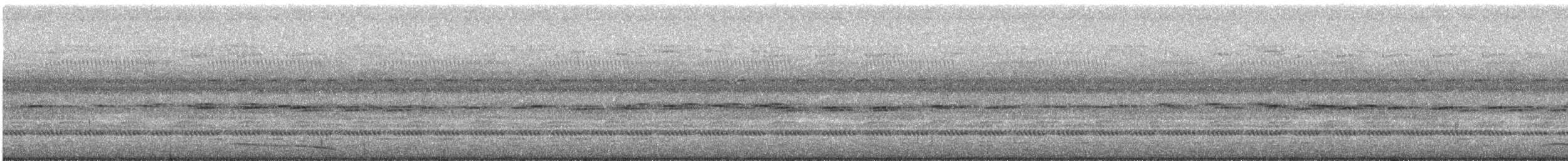 Пугач плямистогрудий - ML24105511
