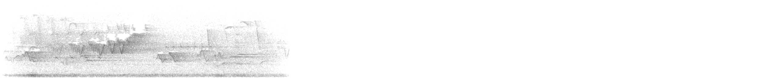 Cerulean Warbler - ML241068701
