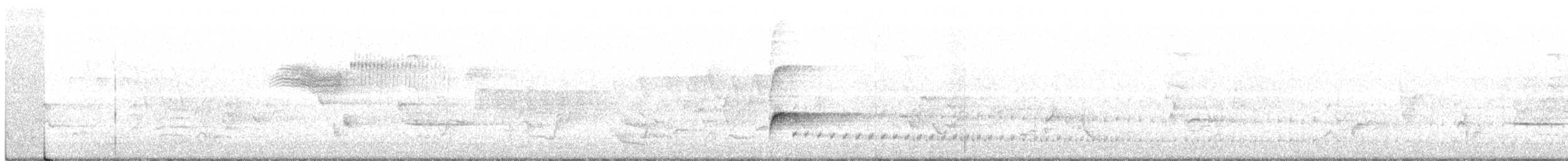 bird sp. - ML241073291