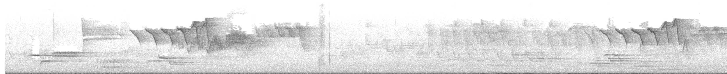 Cerulean Warbler - ML241078941