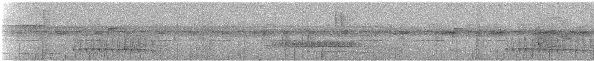 White-flanked Antwren - ML241092071