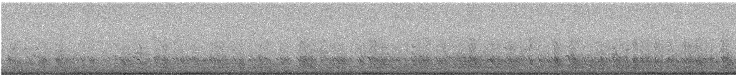 Grajilla Occidental - ML241098
