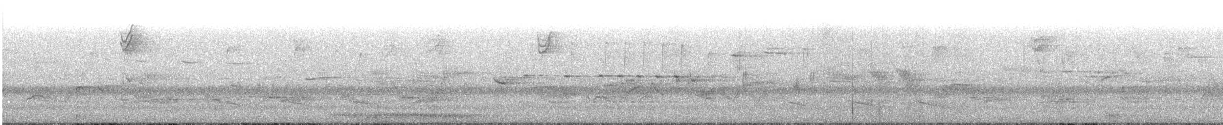 Hooded Merganser - ML241107071