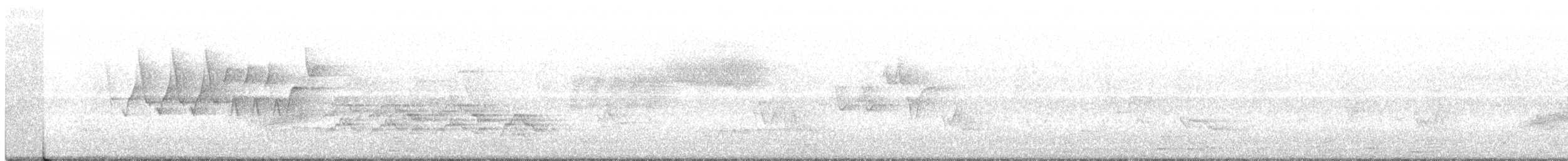 Veery - ML241110981