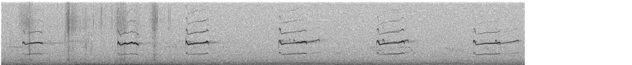 Kildir txirritxoa - ML24111431