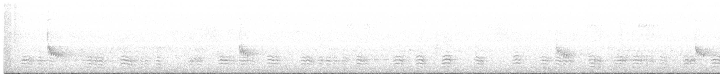 Beyaz Göğüslü Sıvacı - ML241120521
