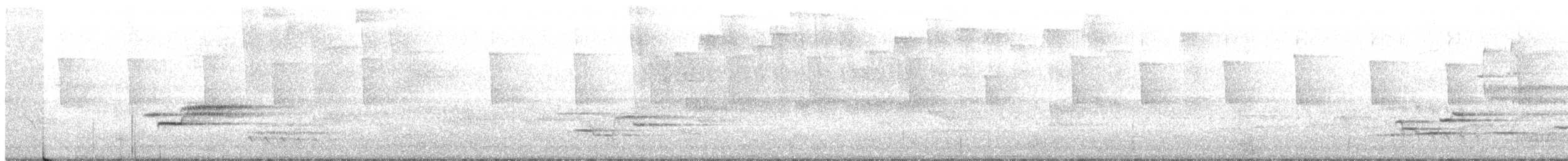 Wood Thrush - ML241135761