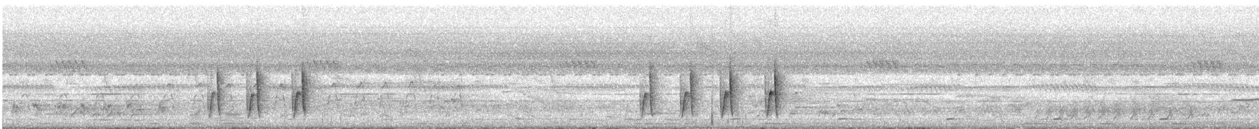 Green-backed Camaroptera (Gray-backed) - ML24116161