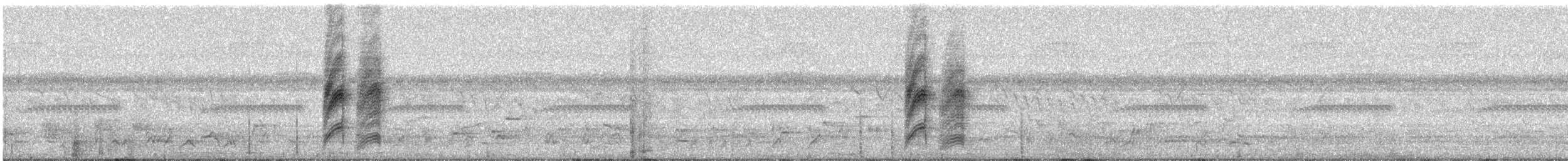 African Paradise-Flycatcher - ML24116251