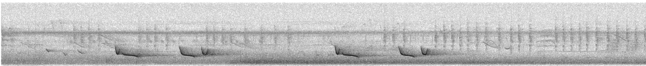 African Emerald Cuckoo (African) - ML24116811