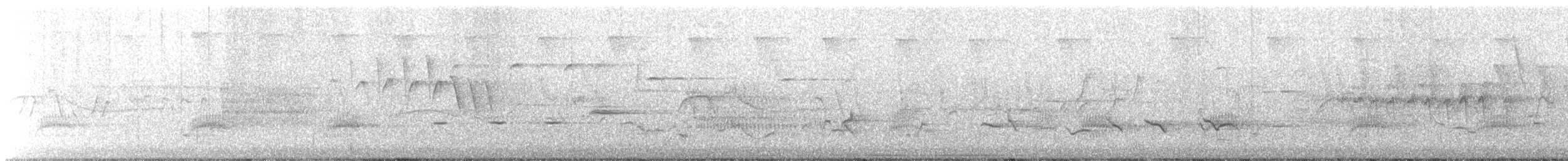 Troglodyte des marais (groupe palustris) - ML241171781