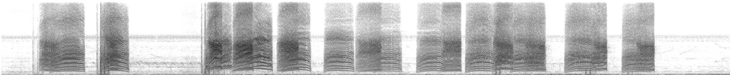 Brown-crowned Tchagra - ML24117301