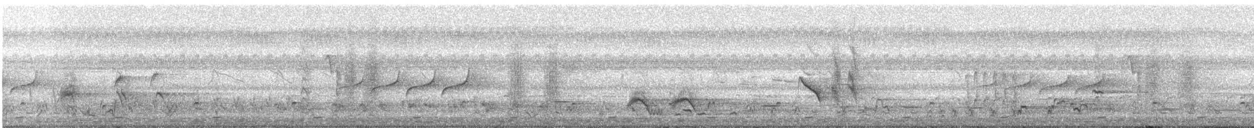 Black-and-white Shrike-flycatcher - ML24117661