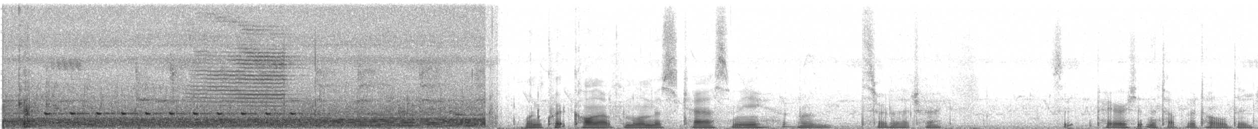 Black-throated Malimbe - ML24117821