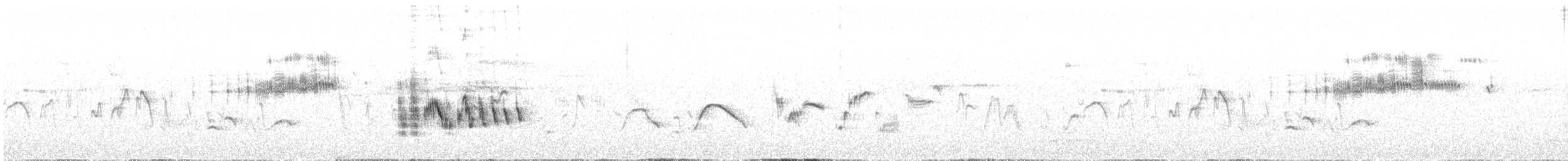 Batılı Kara Kulaklı Kuyrukkakan - ML241190921