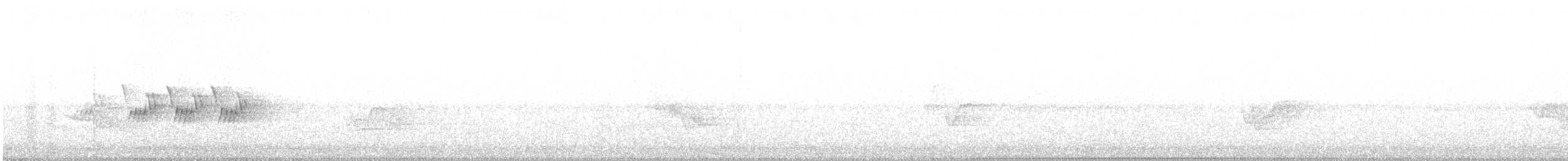 svartbrystparula - ML241192041